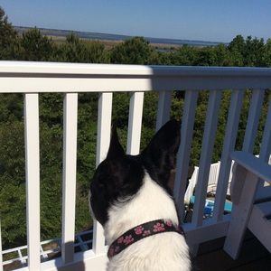 Meet your Posher, Meme